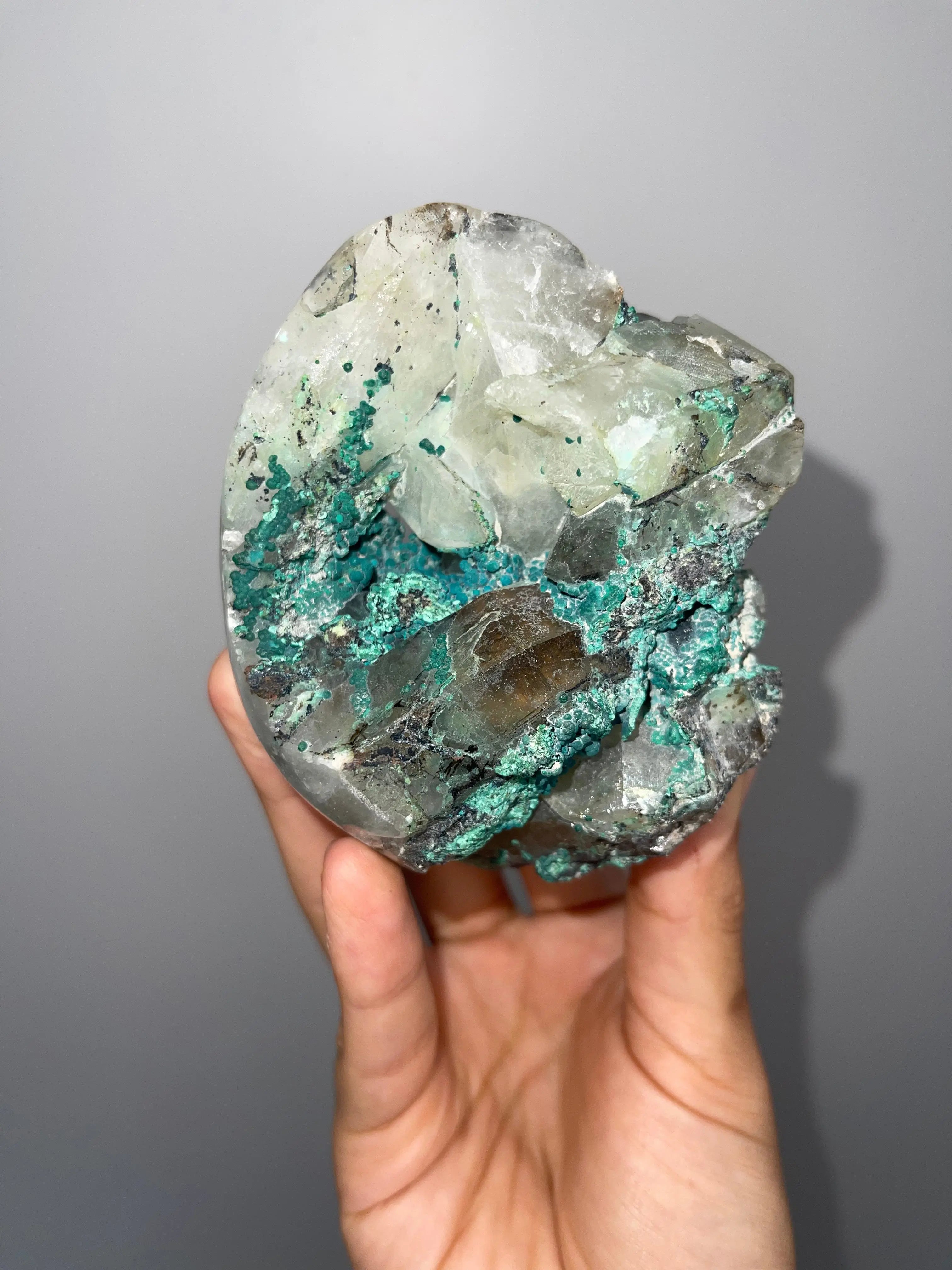 Peruvian Quantum Quattro Freeforms,2