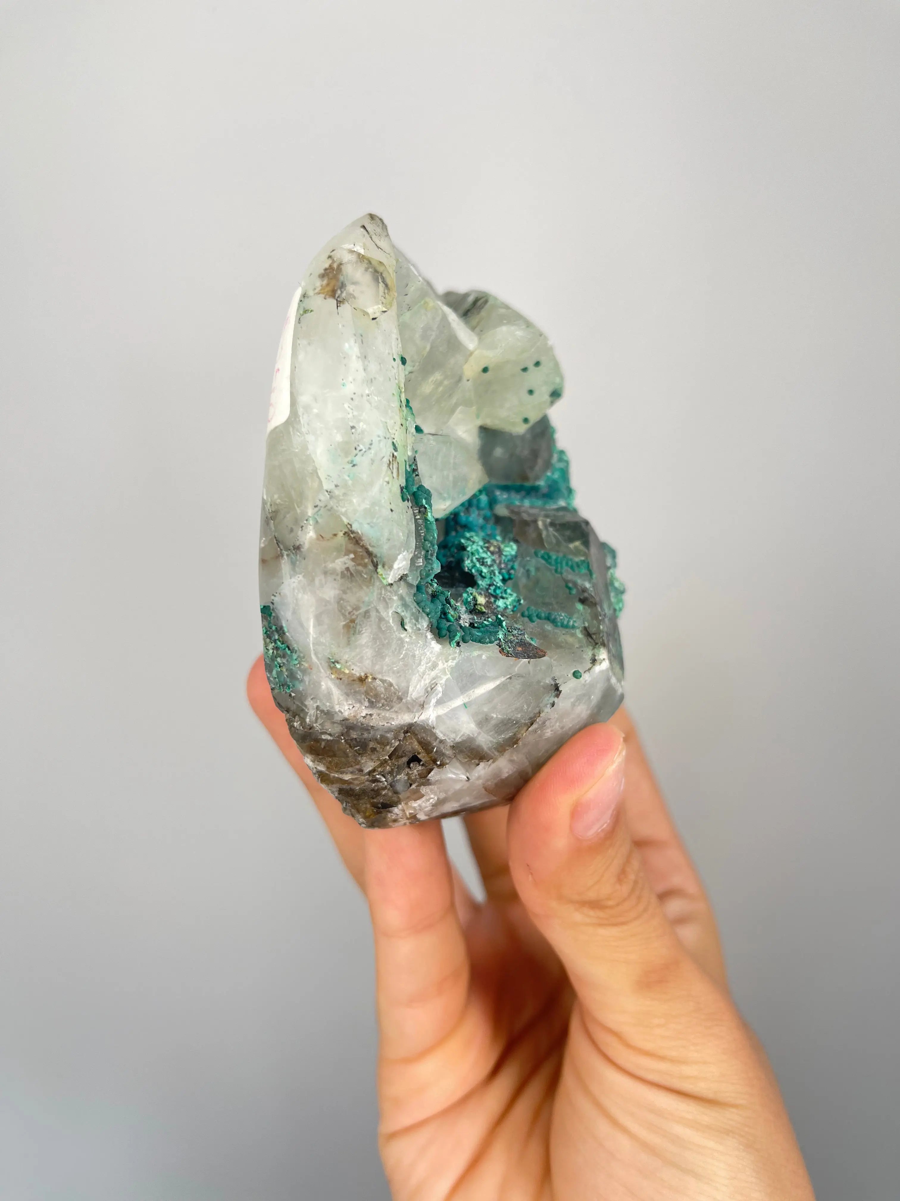 Peruvian Quantum Quattro Freeforms,3