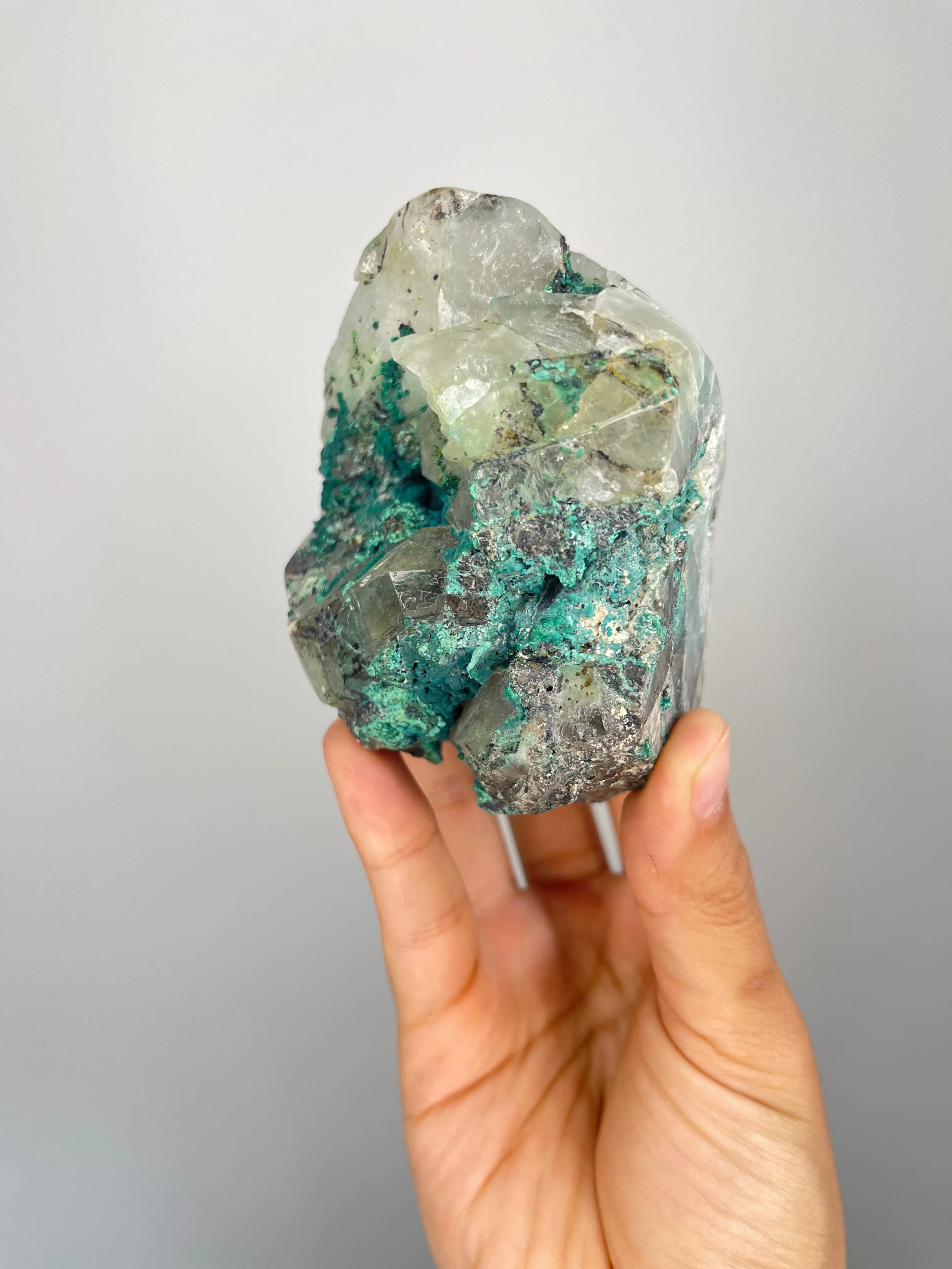 Peruvian Quantum Quattro Freeforms,4