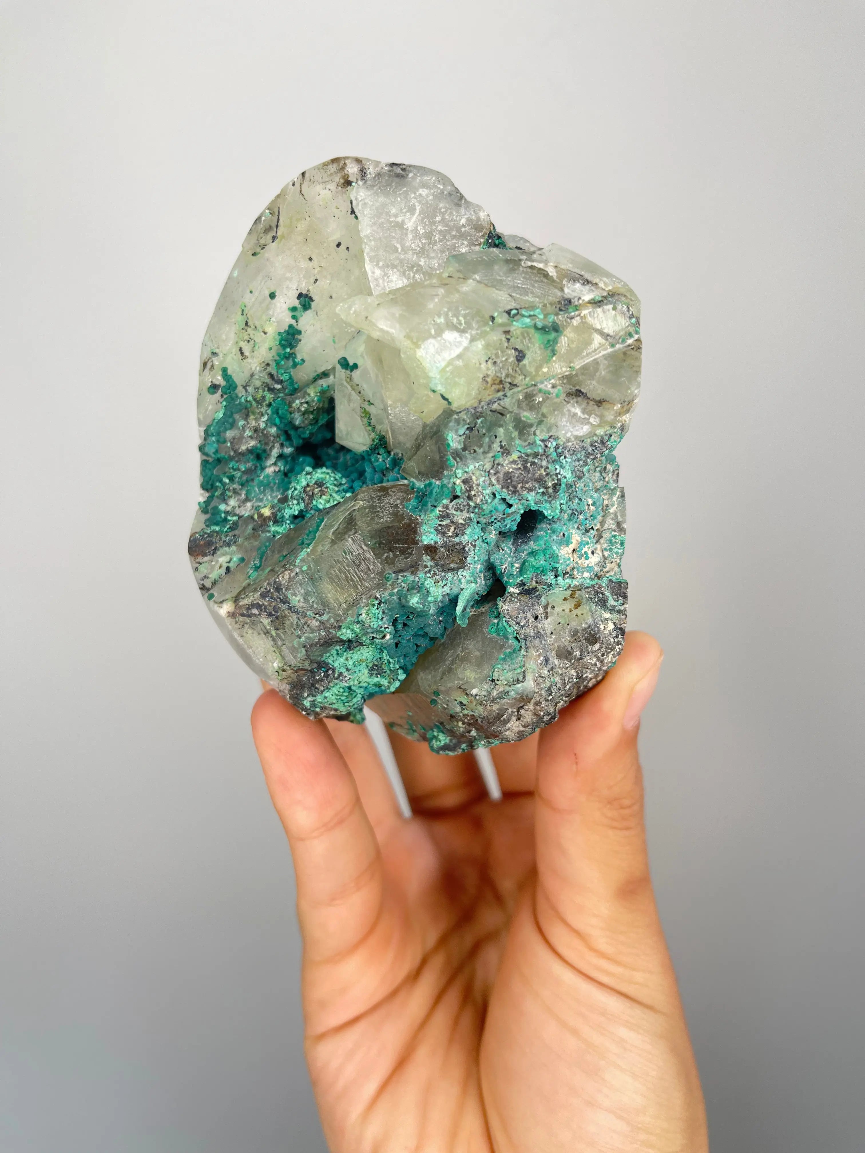 Peruvian Quantum Quattro Freeforms,5