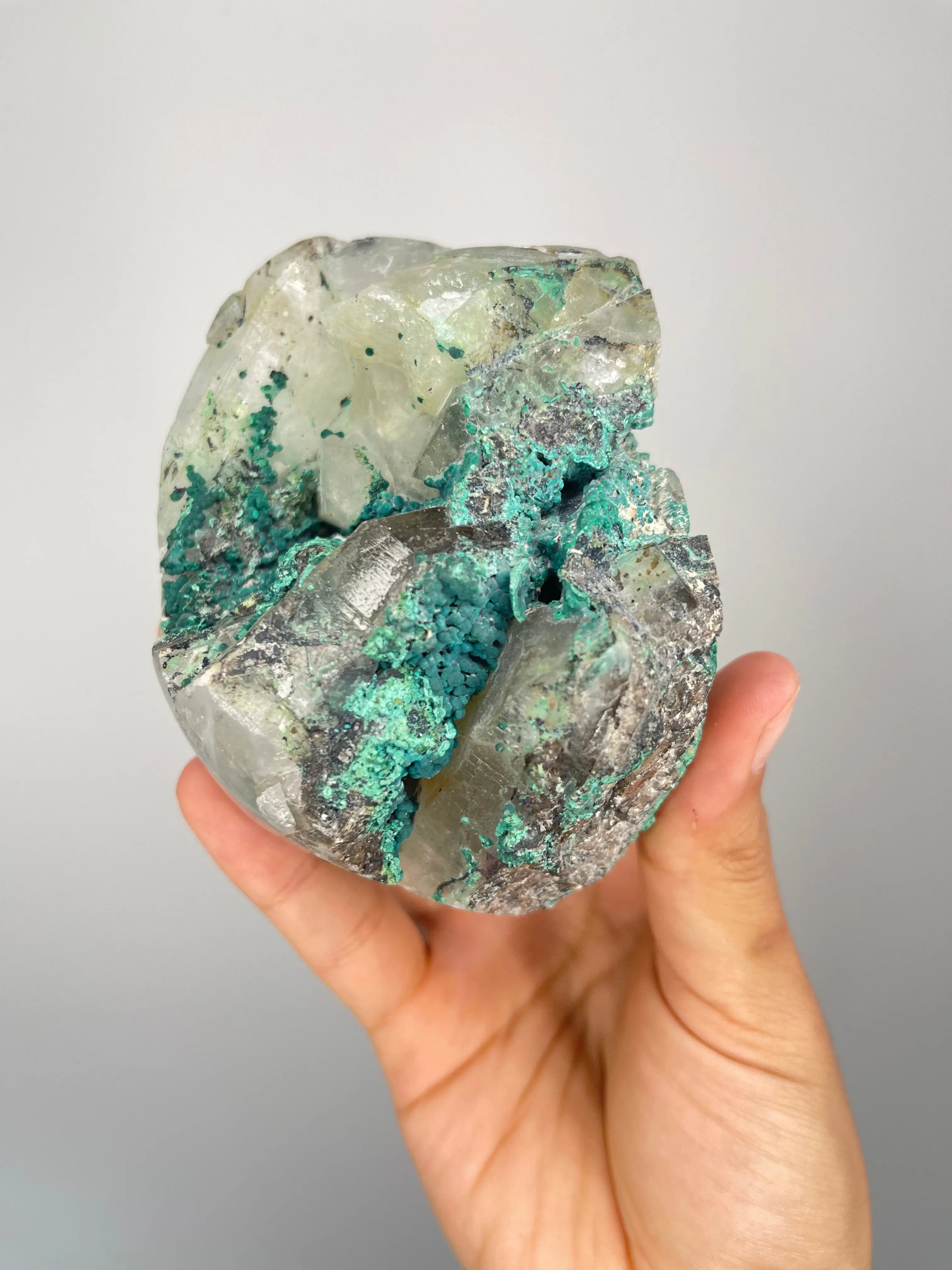 Peruvian Quantum Quattro Freeforms,7