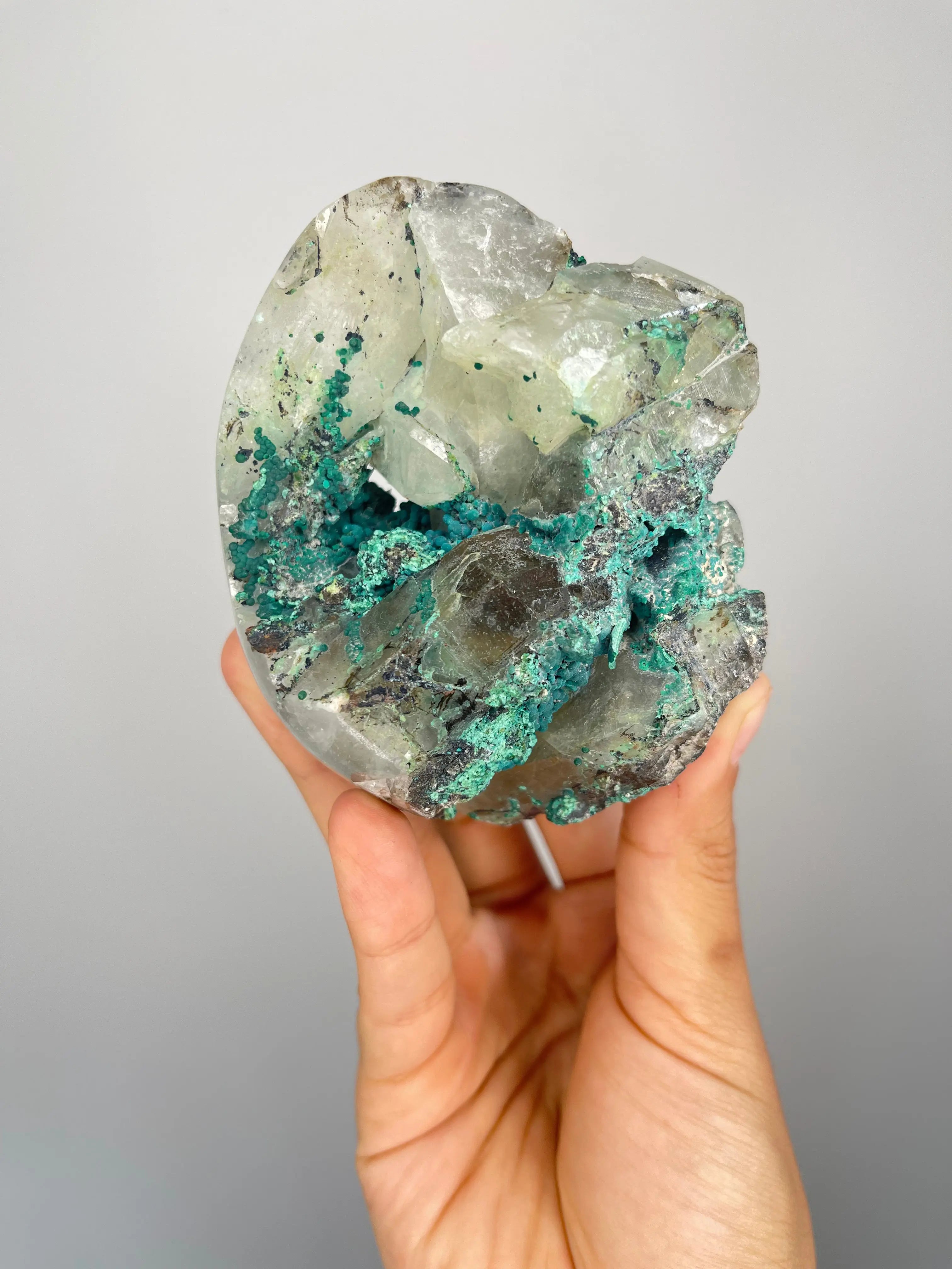 Peruvian Quantum Quattro Freeforms,1